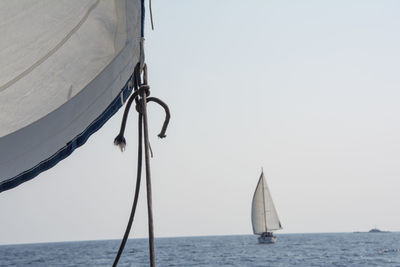 Sailboat sailing in sea against clear sky