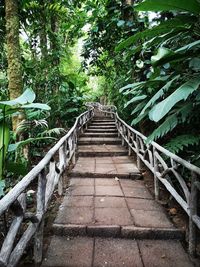 View of footbridge in forest