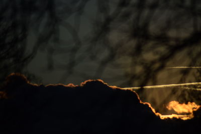 Close-up of silhouette trees against sky at sunset