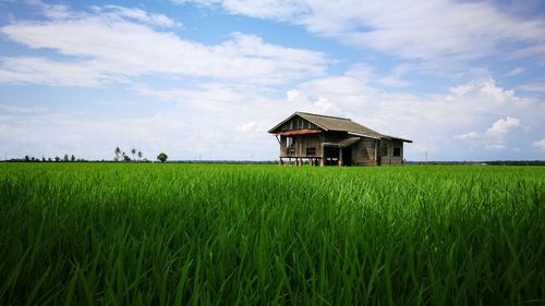 House on field against sky