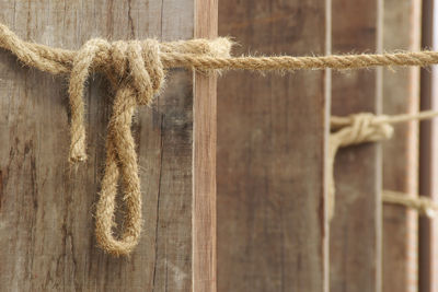 Close-up of rope tied on wood