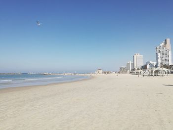 Seagulls on beach