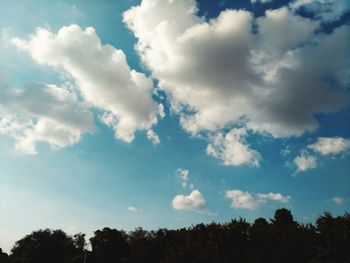 Low angle view of trees against blue sky