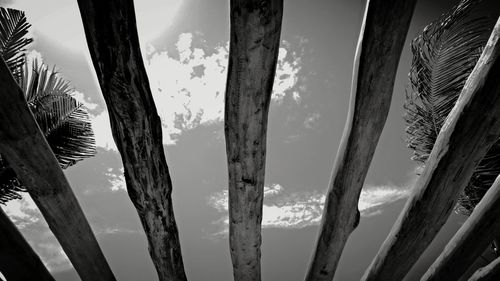 Low angle view of wooden roof against sky during sunny day