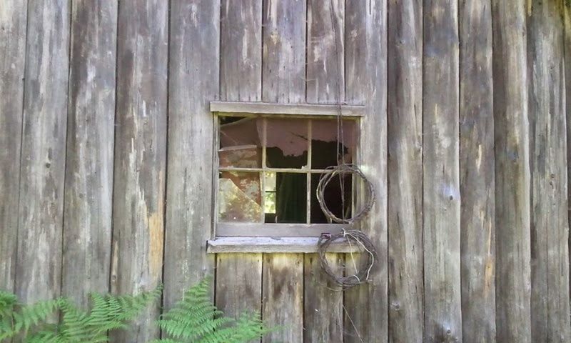 wood - material, built structure, building exterior, architecture, house, plant, day, outdoors, no people, nature