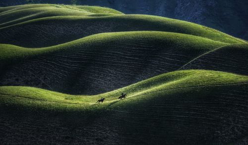 Full frame shot of landscape