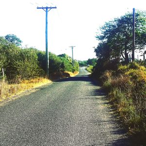 Road by trees against clear sky