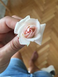 Close-up of hand holding rose bouquet