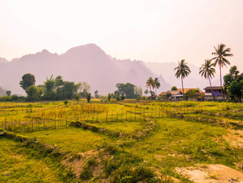 landscape