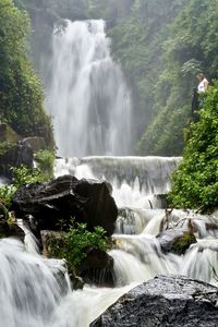 Scenic view of waterfall