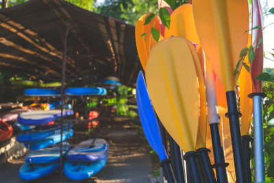 Blades of paddles various colors with kayaks , paddling concept