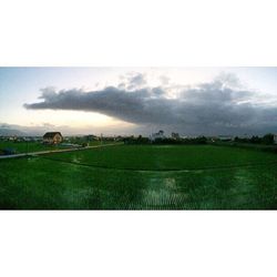 Scenic view of field against sky