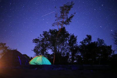 View of tent and trees against clear sky at night