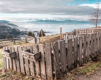 Panoramic shot of plants on land against sky