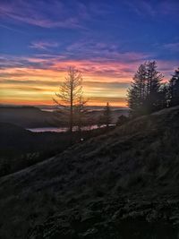 Silhouette trees on landscape against sky during sunset