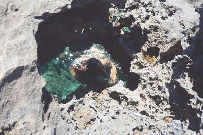 High angle view of rocks on beach