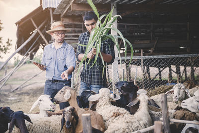 Panoramic shot of people at farm