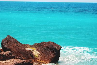 High angle view of rocks on beach