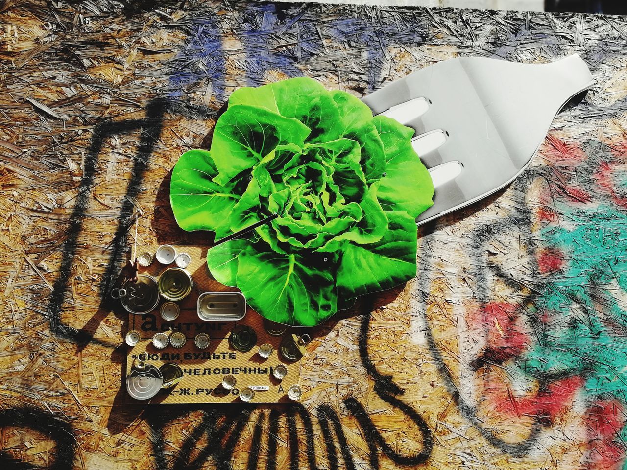 HIGH ANGLE VIEW OF VEGETABLES ON PLANT TABLE