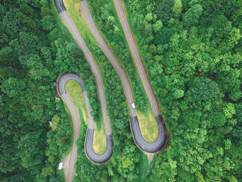 High angle view of plants growing on land