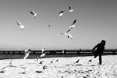 Cheerful boy playing while seagulls flying over beach against sky