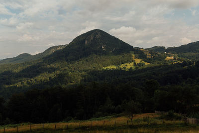 Scenic view of landscape against sky