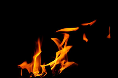 Close-up of bonfire at night