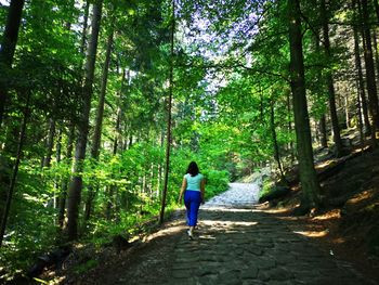 Rear view of woman walking in forest