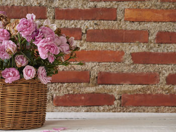 Close-up of pink flowers on brick wall