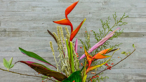 Close-up of red flower on plant