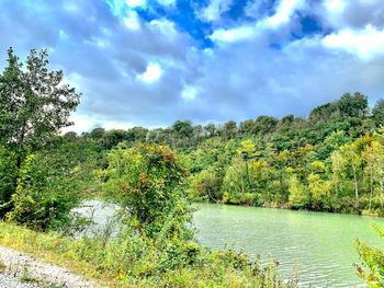Scenic view of lake amidst trees in forest against sky