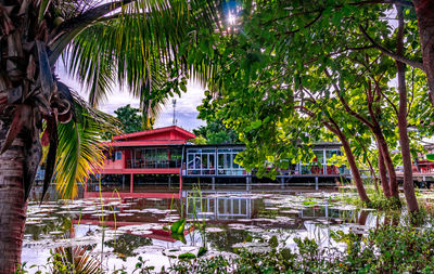 Palm trees by lake against building