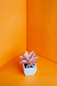 Close-up of pink flower against orange wall