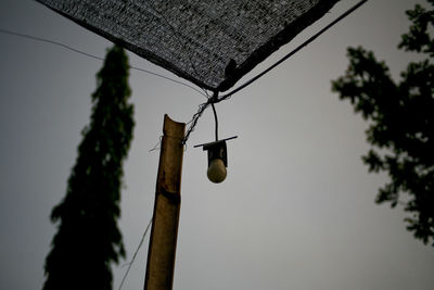 Low angle view of an animal against sky