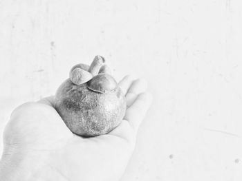 Close-up of hand holding small fruit