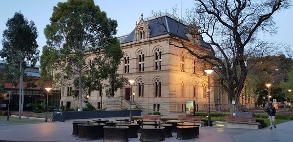 View of trees in city against sky