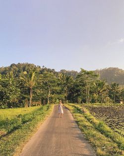 Rear view of person walking on road amidst trees against sky