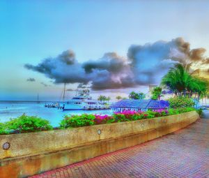 View of plants against calm sea