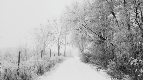 Road amidst trees against clear sky during winter