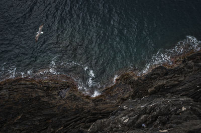 Rock formation in sea