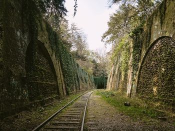 La petite ceinture