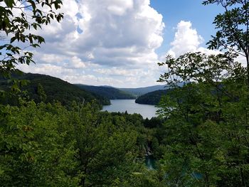 Scenic view of lake by trees against sky