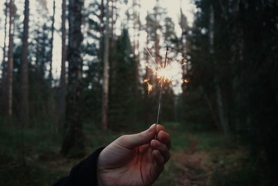 Close-up of man holding sparkler in forest