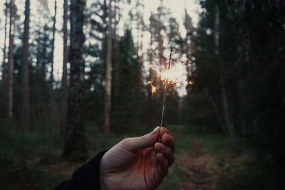 Close-up of man holding hand in forest