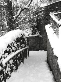 Snow covered landscape