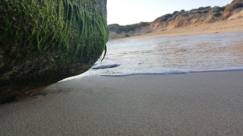 Close-up of beach against sky