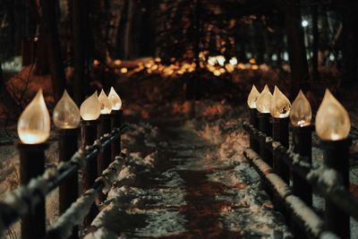 Row of lanterns on wood against trees