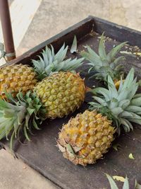 High angle view of fruits on table