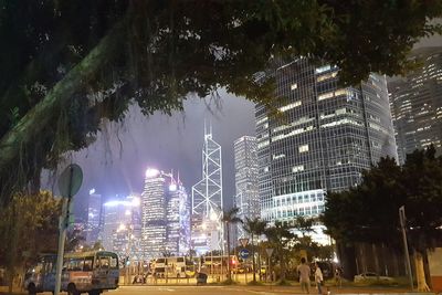 Trees in park at night