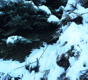Scenic view of snow covered landscape